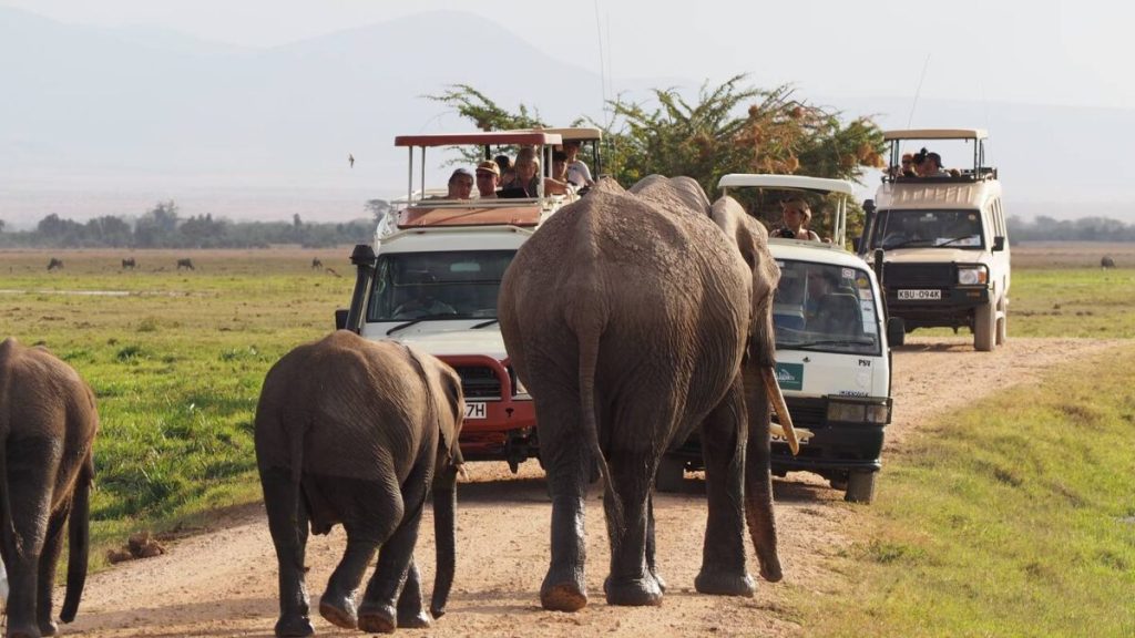 Cover photo for Monumental Expeditions and Safaris