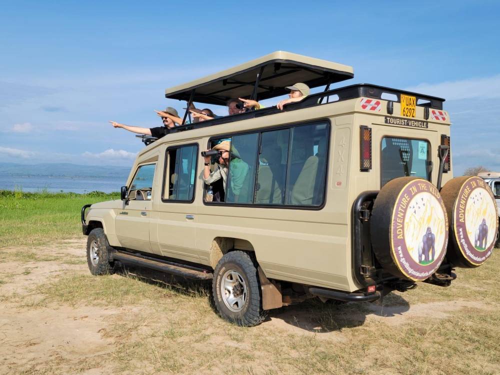 Cover photo for Adventure in the Wild Safaris Limited